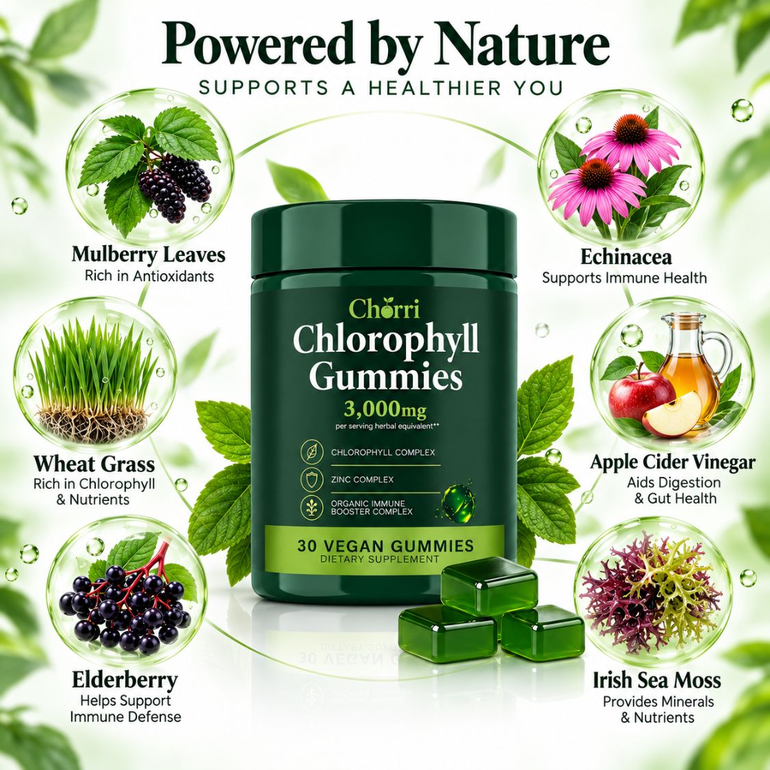 Chlorophyll Gummies